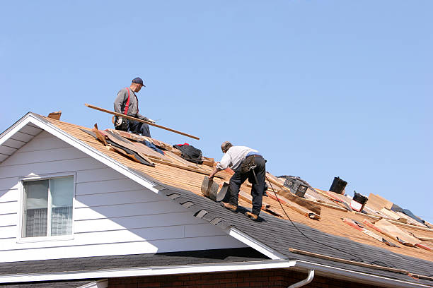 Best Roof Installation  in Bradfordville, FL
